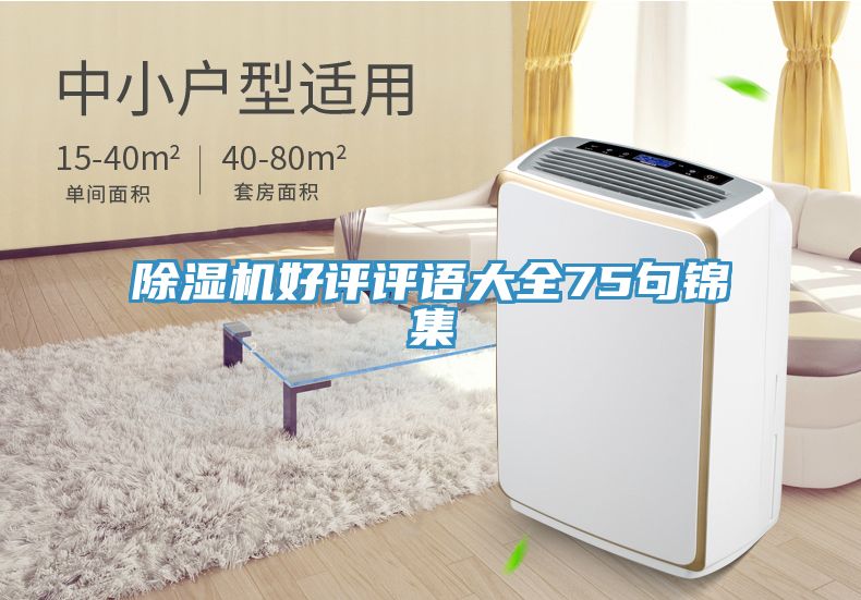除濕機(jī)好評(píng)評(píng)語(yǔ)大全75句錦集