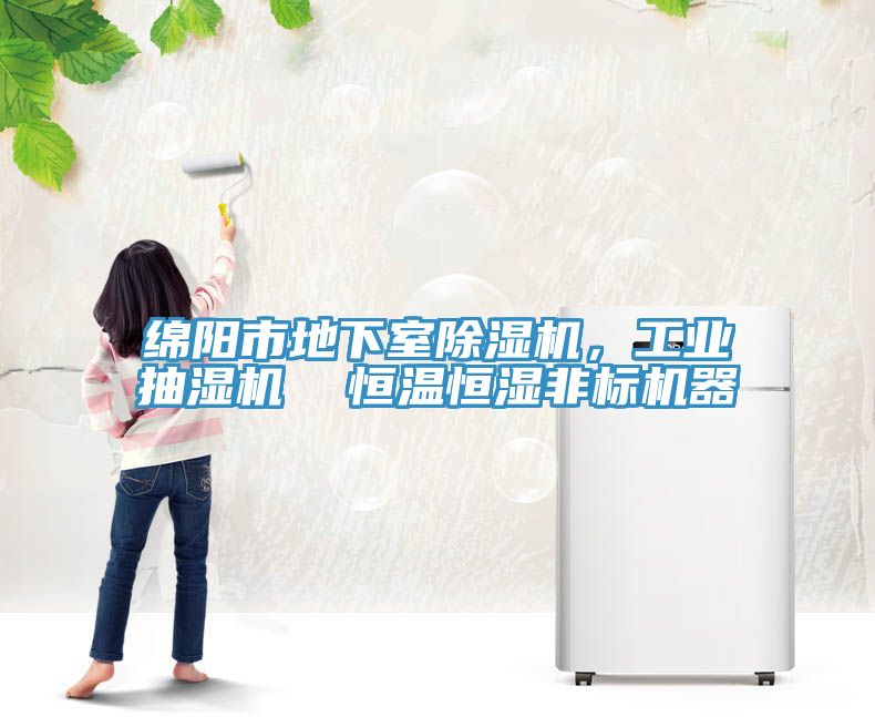 綿陽市地下室除濕機，工業(yè)抽濕機  恒溫恒濕非標(biāo)機器