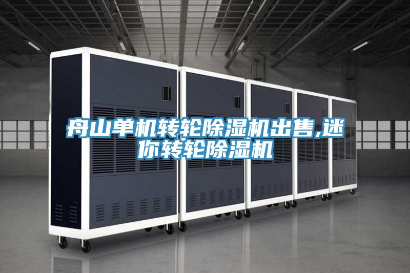舟山單機轉(zhuǎn)輪除濕機出售,迷你轉(zhuǎn)輪除濕機