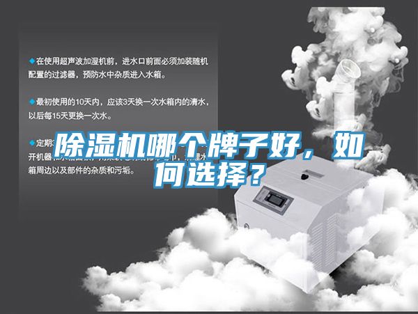 除濕機哪個牌子好，如何選擇？