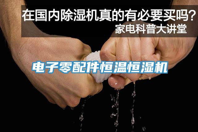 電子零配件恒溫恒濕機(jī)