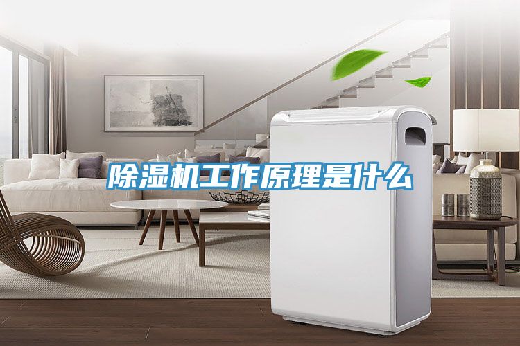 除濕機(jī)工作原理是什么
