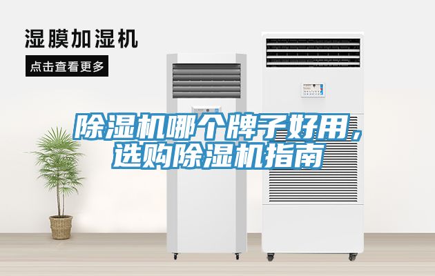 除濕機(jī)哪個(gè)牌子好用，選購(gòu)除濕機(jī)指南