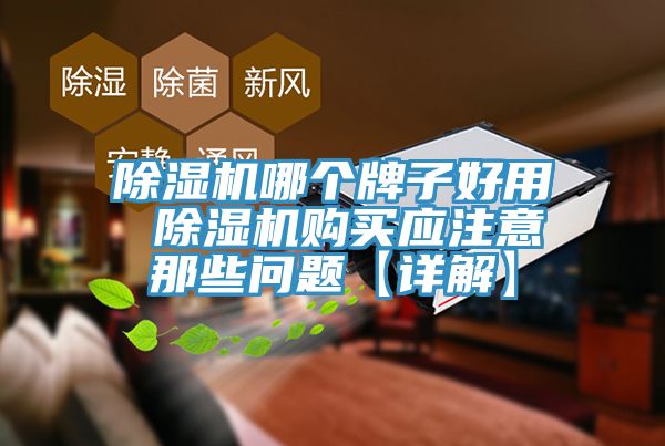 除濕機(jī)哪個(gè)牌子好用 除濕機(jī)購(gòu)買應(yīng)注意那些問(wèn)題【詳解】