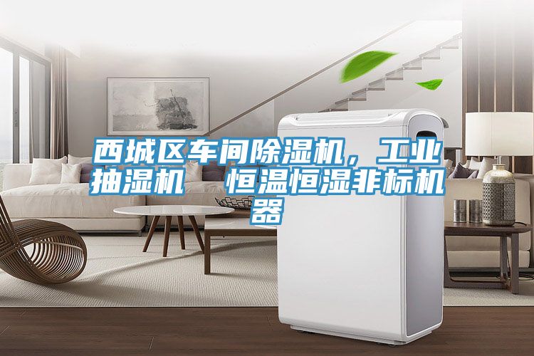 西城區(qū)車間除濕機(jī)，工業(yè)抽濕機(jī)  恒溫恒濕非標(biāo)機(jī)器