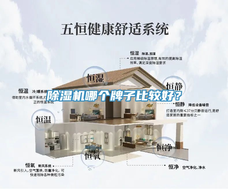 除濕機(jī)哪個(gè)牌子比較好？