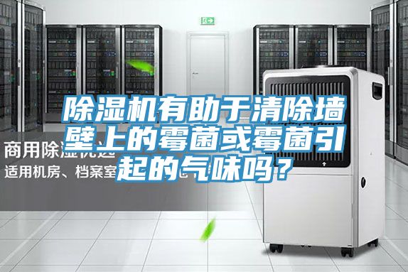 除濕機(jī)有助于清除墻壁上的霉菌或霉菌引起的氣味嗎？