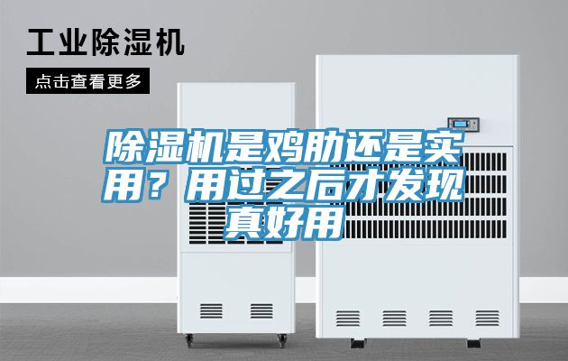 除濕機(jī)是雞肋還是實(shí)用？用過之后才發(fā)現(xiàn)真好用