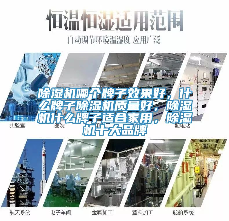 除濕機(jī)哪個(gè)牌子效果好，什么牌子除濕機(jī)質(zhì)量好，除濕機(jī)什么牌子適合家用，除濕機(jī)十大品牌
