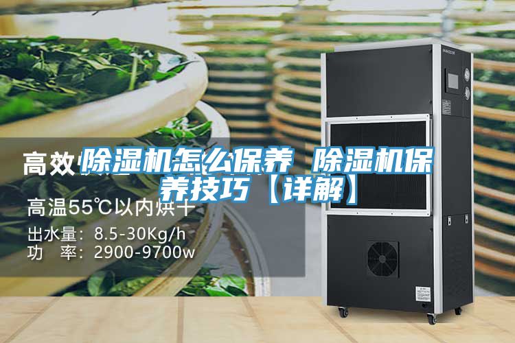 除濕機怎么保養(yǎng) 除濕機保養(yǎng)技巧【詳解】
