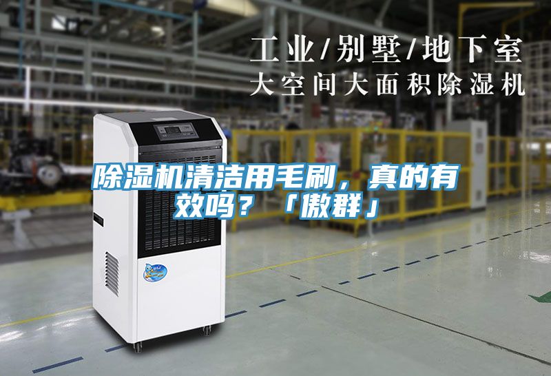 除濕機(jī)清潔用毛刷，真的有效嗎？「傲群」