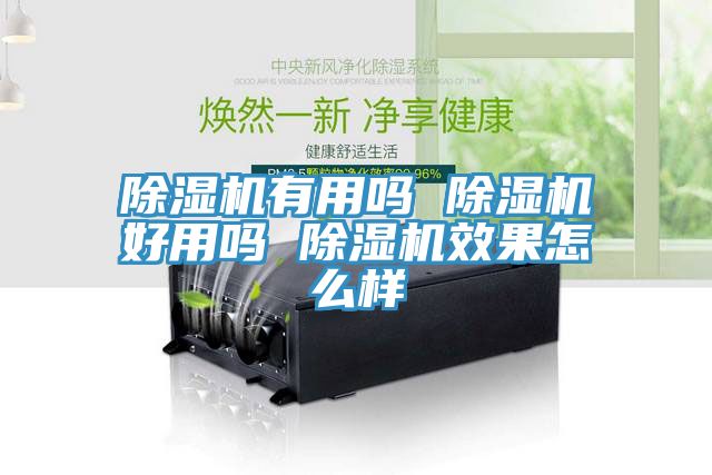 除濕機(jī)有用嗎 除濕機(jī)好用嗎 除濕機(jī)效果怎么樣