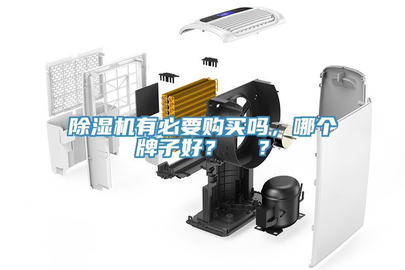 除濕機(jī)有必要購買嗎，哪個牌子好？  ？