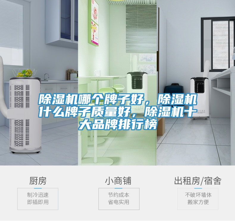除濕機(jī)哪個(gè)牌子好，除濕機(jī)什么牌子質(zhì)量好，除濕機(jī)十大品牌排行榜