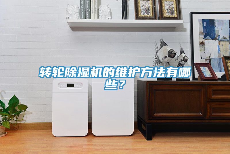 轉(zhuǎn)輪除濕機(jī)的維護(hù)方法有哪些？