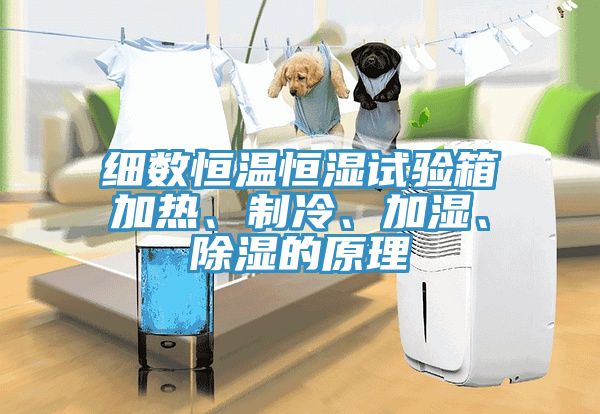 細數(shù)恒溫恒濕試驗箱加熱、制冷、加濕、除濕的原理