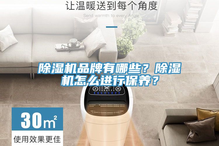 除濕機(jī)品牌有哪些？除濕機(jī)怎么進(jìn)行保養(yǎng)？