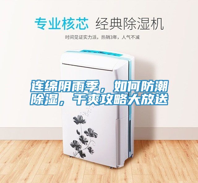 連綿陰雨季，如何防潮除濕，干爽攻略大放送
