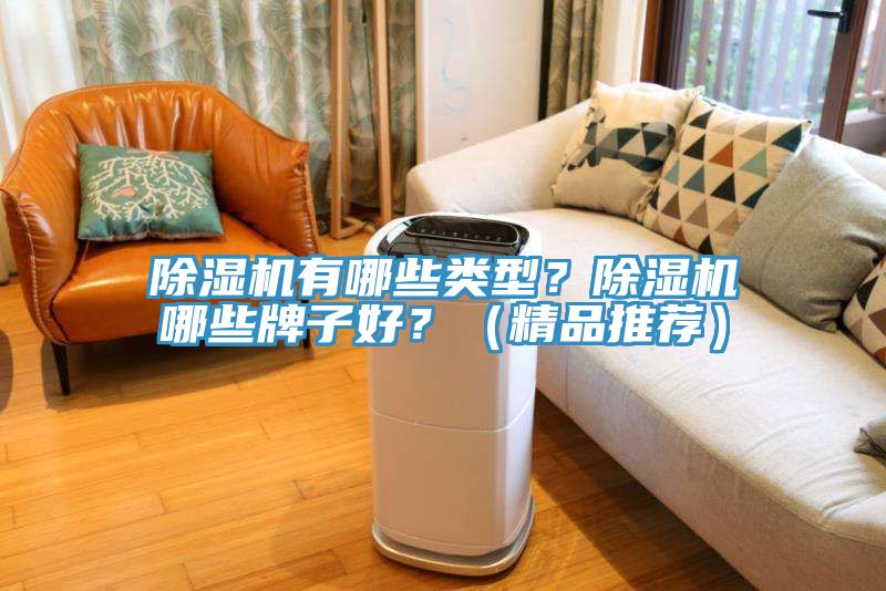 除濕機(jī)有哪些類型？除濕機(jī)哪些牌子好？（精品推薦）