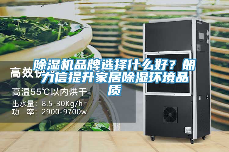 除濕機(jī)品牌選擇什么好？朗力信提升家居除濕環(huán)境品質(zhì)