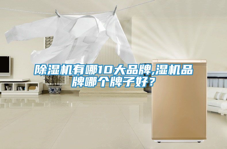 除濕機(jī)有哪10大品牌,濕機(jī)品牌哪個(gè)牌子好？
