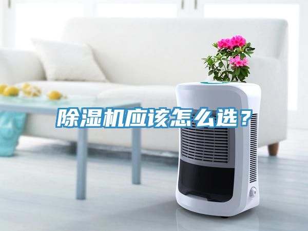 除濕機(jī)應(yīng)該怎么選？