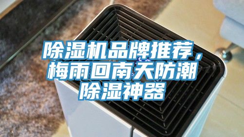 除濕機(jī)品牌推薦，梅雨回南天防潮除濕神器