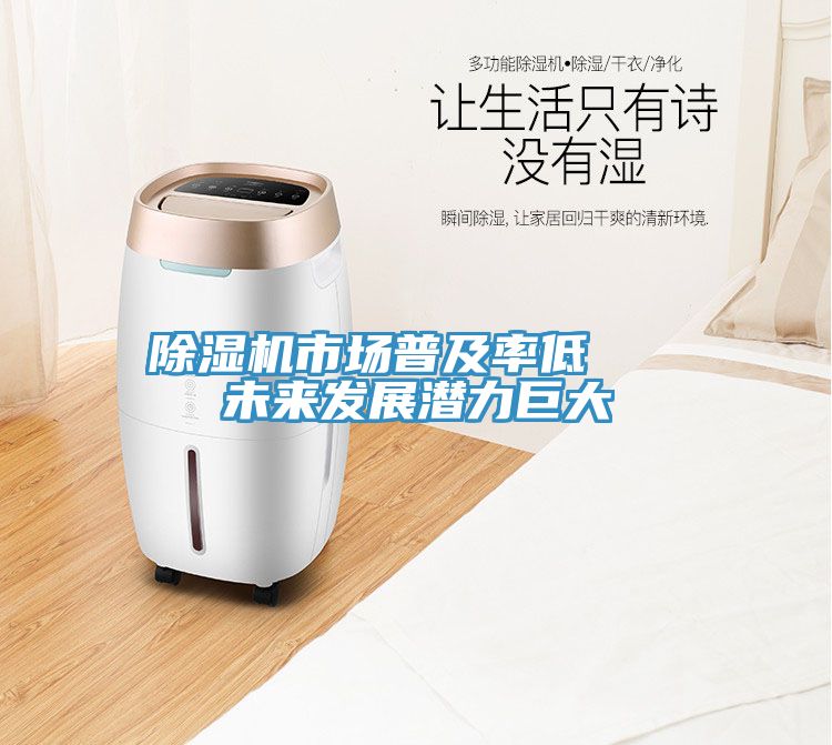 除濕機(jī)市場普及率低   未來發(fā)展?jié)摿薮?></div>
								<div   id=