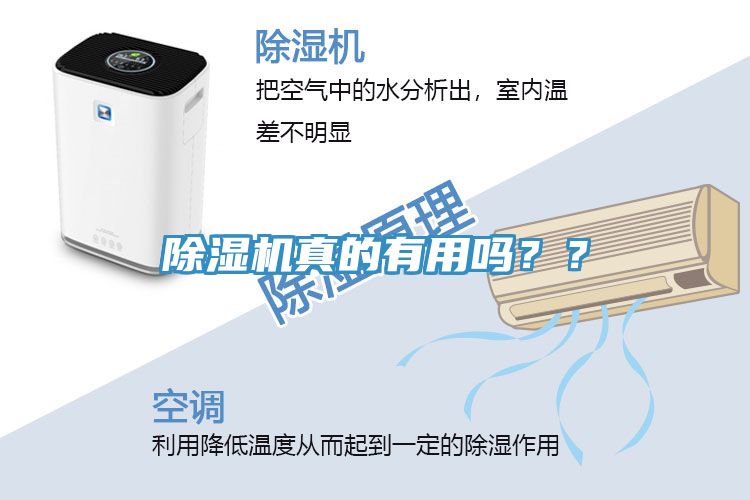 除濕機(jī)真的有用嗎？？
