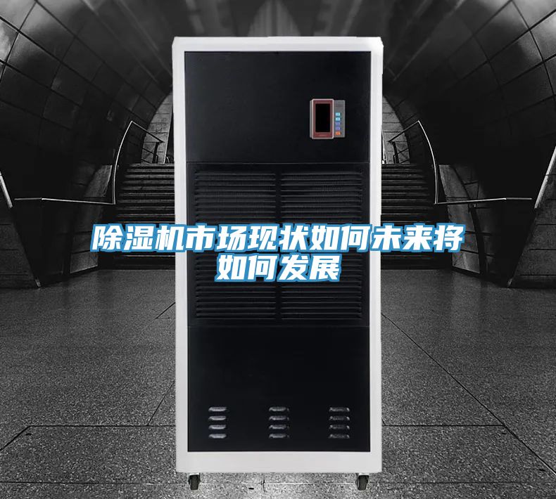 除濕機(jī)市場現(xiàn)狀如何未來將如何發(fā)展