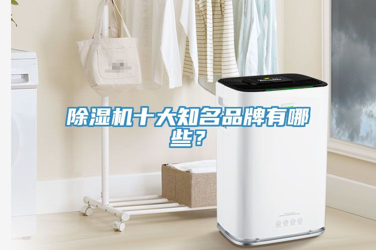 除濕機十大知名品牌有哪些？