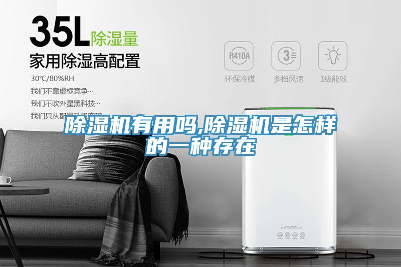 除濕機(jī)有用嗎,除濕機(jī)是怎樣的一種存在