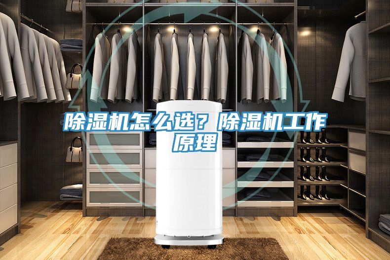除濕機怎么選？除濕機工作原理