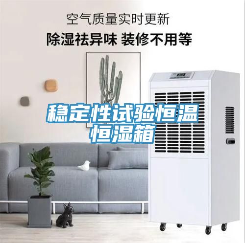 穩(wěn)定性試驗恒溫恒濕箱