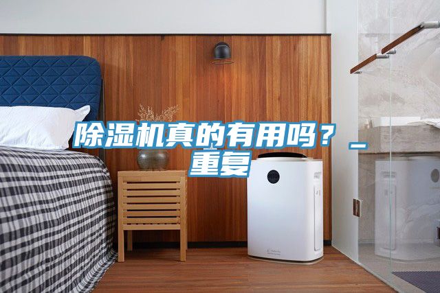 除濕機(jī)真的有用嗎？_重復(fù)
