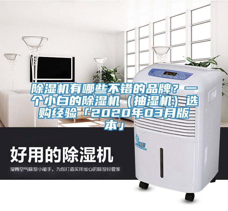 除濕機(jī)有哪些不錯(cuò)的品牌？一個(gè)小白的除濕機(jī)（抽濕機(jī)）選購(gòu)經(jīng)驗(yàn)「2020年03月版本」