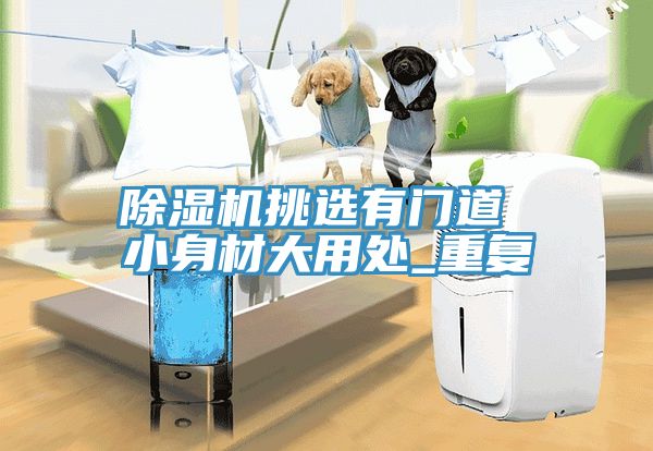 除濕機(jī)挑選有門(mén)道 小身材大用處_重復(fù)