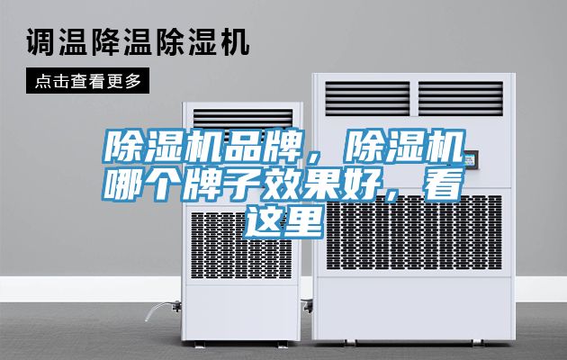 除濕機(jī)品牌，除濕機(jī)哪個牌子效果好，看這里