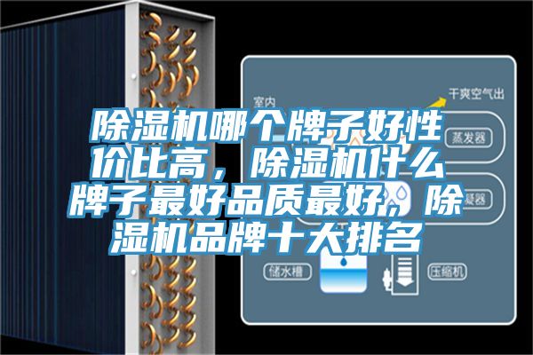 除濕機(jī)哪個(gè)牌子好性價(jià)比高，除濕機(jī)什么牌子最好品質(zhì)最好，除濕機(jī)品牌十大排名