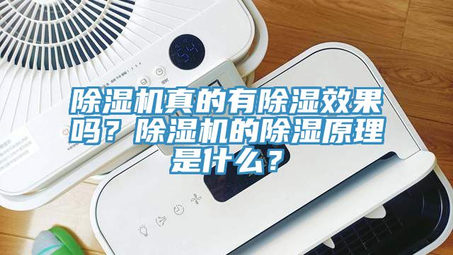 除濕機(jī)真的有除濕效果嗎？除濕機(jī)的除濕原理是什么？