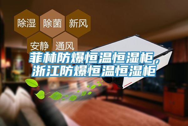 菲林防爆恒溫恒濕柜，浙江防爆恒溫恒濕柜