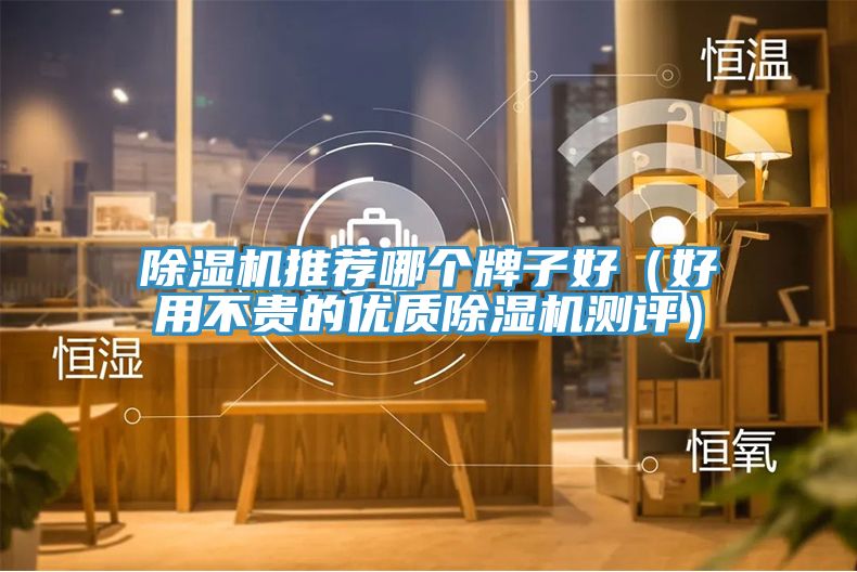除濕機推薦哪個牌子好（好用不貴的優(yōu)質(zhì)除濕機測評）