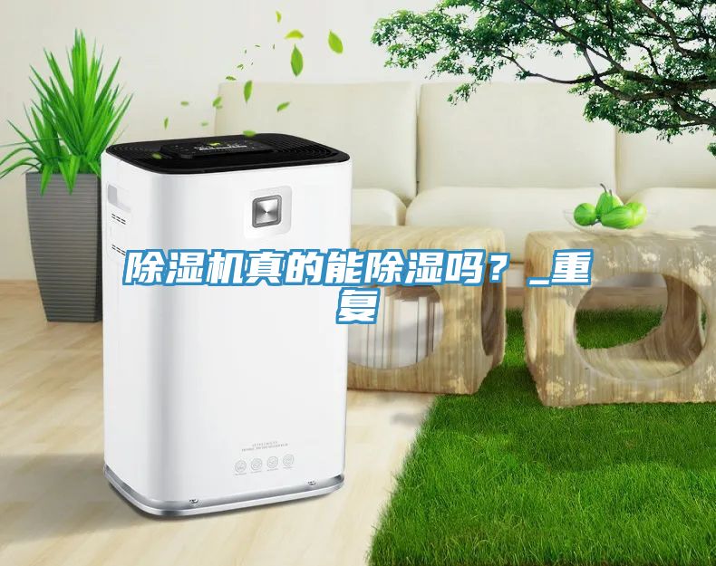 除濕機(jī)真的能除濕嗎？_重復(fù)