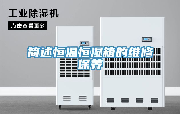簡(jiǎn)述恒溫恒濕箱的維修保養(yǎng)