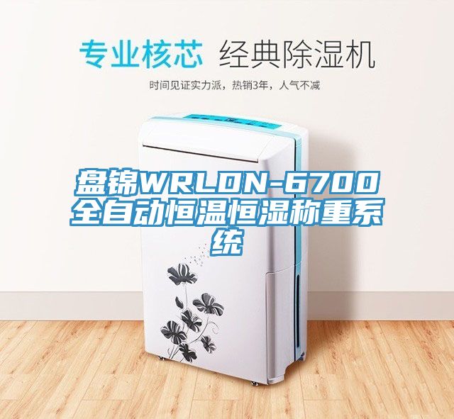 盤(pán)錦WRLDN-6700全自動(dòng)恒溫恒濕稱(chēng)重系統(tǒng)