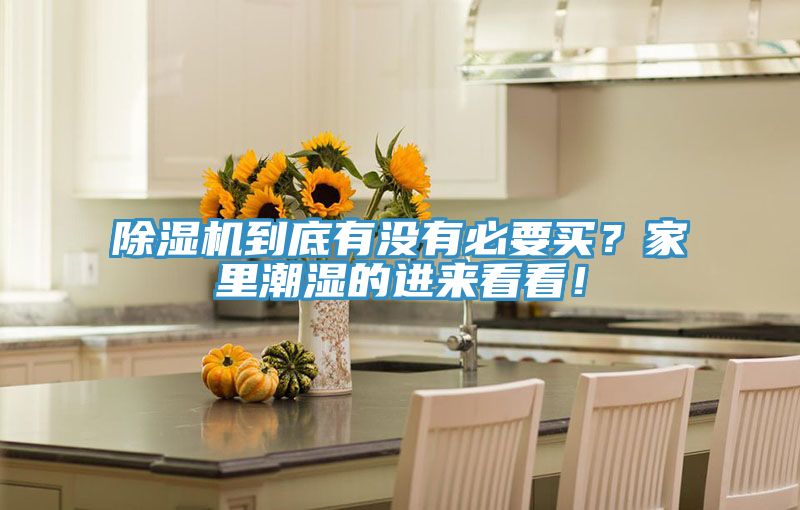 除濕機到底有沒有必要買？家里潮濕的進來看看！