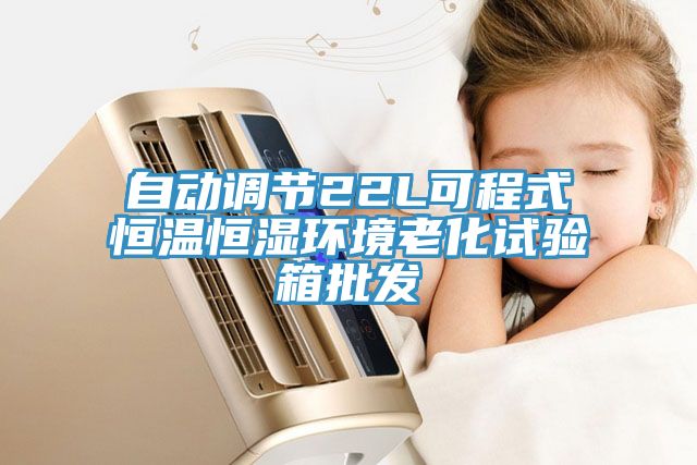 自動調(diào)節(jié)22L可程式恒溫恒濕環(huán)境老化試驗(yàn)箱批發(fā)