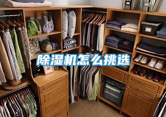 除濕機怎么挑選