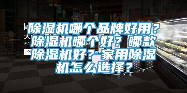 除濕機哪個品牌好用？除濕機哪個好？哪款除濕機好？家用除濕機怎么選擇？
