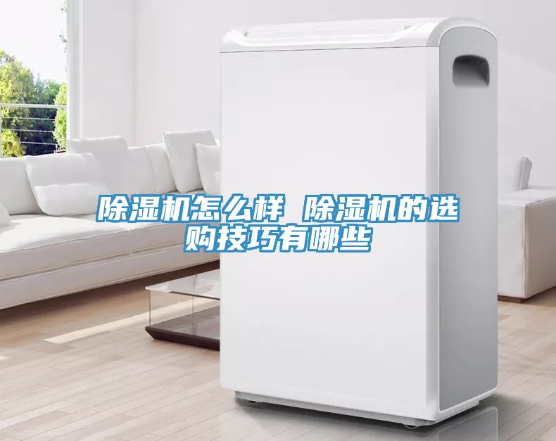 除濕機(jī)怎么樣 除濕機(jī)的選購技巧有哪些